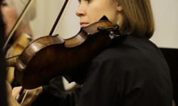 VIC 0355